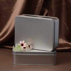 Frosted metal storage box bird's nest gift packaging tin box 220*160*65MM